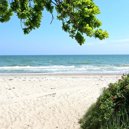 Strandnahe Fewo Mit Balkon, Gratis Nutzung Vom Ahoi Erlebnisbad Und Sauna In Sellin - Rex Rugia Fewo 13-7 لوبه المظهر الخارجي الصورة